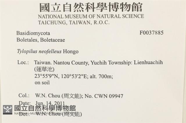 登錄號:F0037885藏品圖，第2張