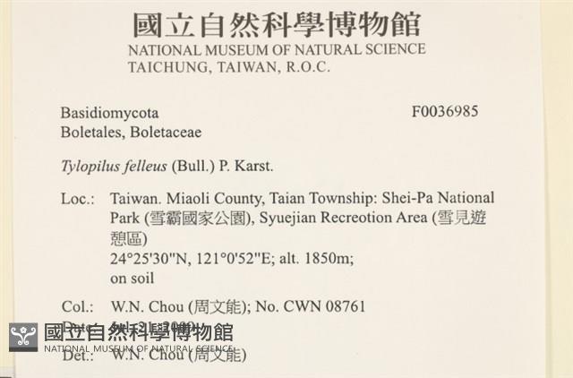 登錄號:F0036985藏品圖，第2張