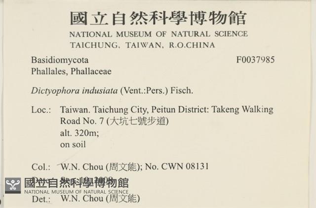 登錄號:F0037985藏品圖，第2張