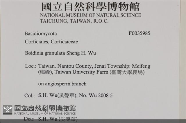 登錄號:F0035985藏品圖，第2張