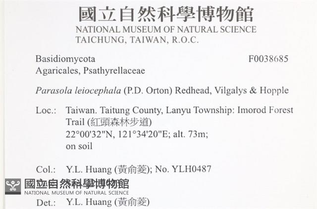 登錄號:F0038685藏品圖，第2張