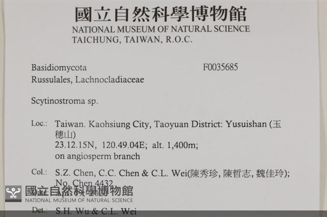 登錄號:F0035685藏品圖，第2張