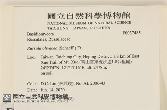 登錄號:F0037485藏品圖，第2張