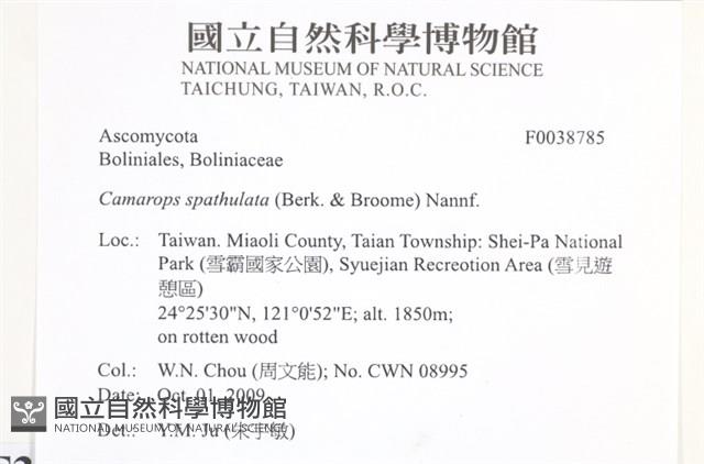 登錄號:F0038785藏品圖，第2張