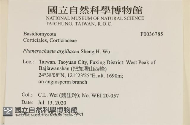 登錄號:F0036785藏品圖，第2張