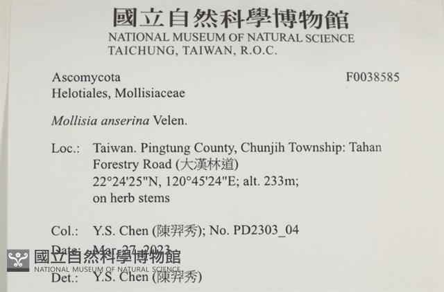 登錄號:F0038585藏品圖，第2張