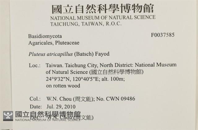 登錄號:F0037585藏品圖，第2張