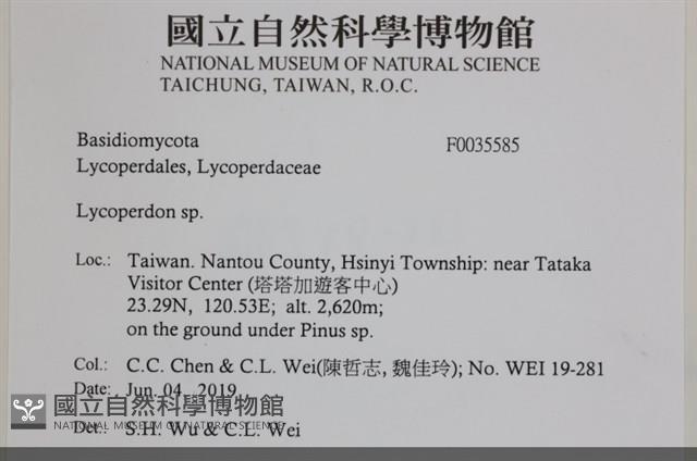 登錄號:F0035585藏品圖，第2張