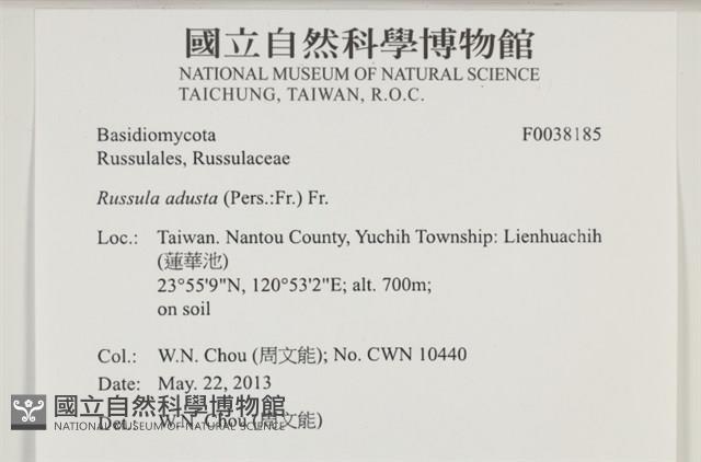 登錄號:F0038185藏品圖，第2張