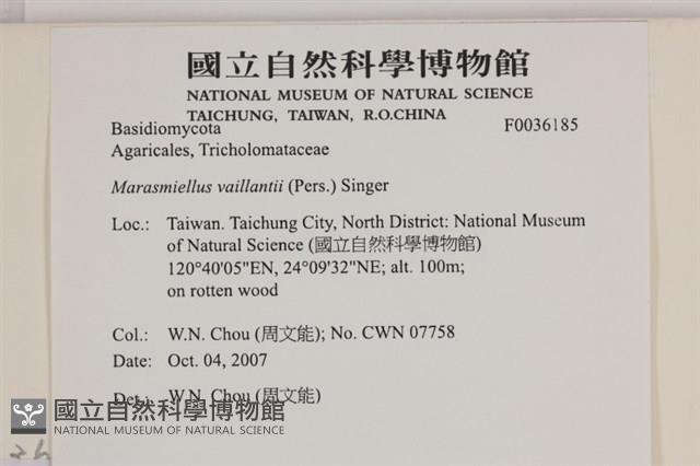 登錄號:F0036185藏品圖，第2張