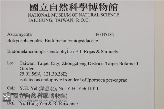 登錄號:F0035185藏品圖，第2張