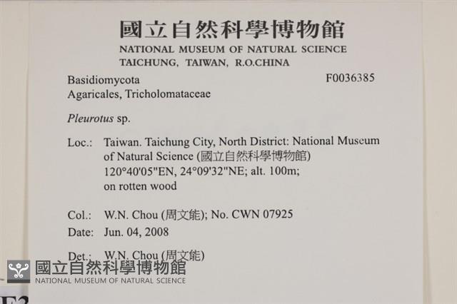 登錄號:F0036385藏品圖，第2張