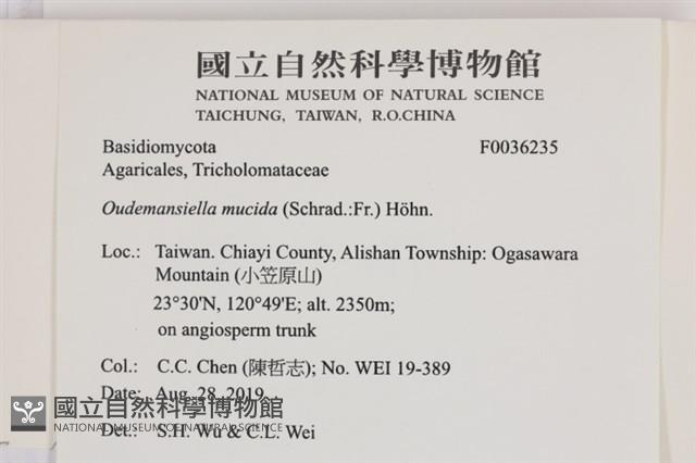 登錄號:F0036235藏品圖，第2張