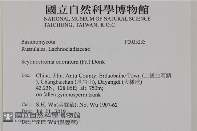 登錄號:F0035235藏品圖，第2張