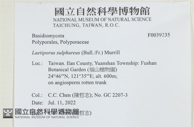 登錄號:F0039235藏品圖，第2張