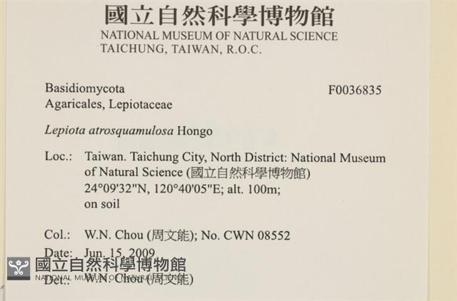 登錄號:F0036835藏品圖，第2張