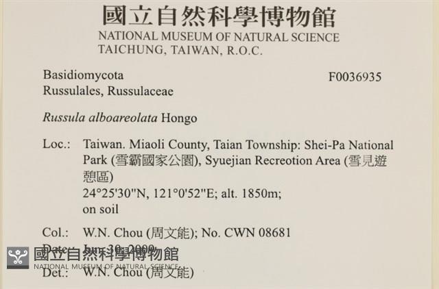 登錄號:F0036935藏品圖，第2張