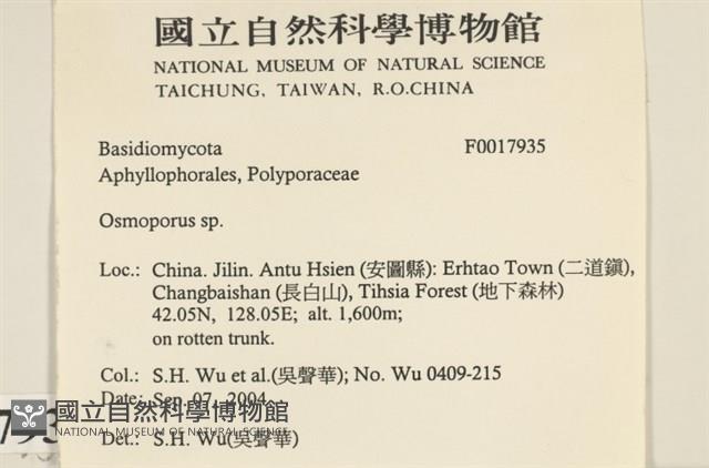 登錄號:F0017935藏品圖，第2張