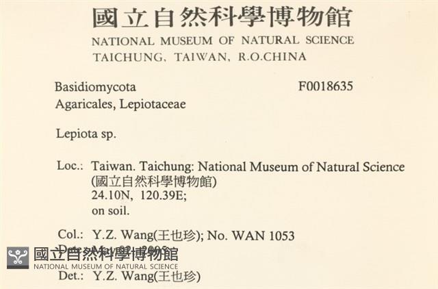 登錄號:F0018635藏品圖，第2張