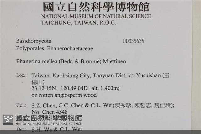 登錄號:F0035635藏品圖，第2張