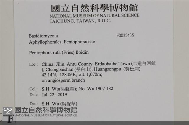 登錄號:F0035435藏品圖，第2張
