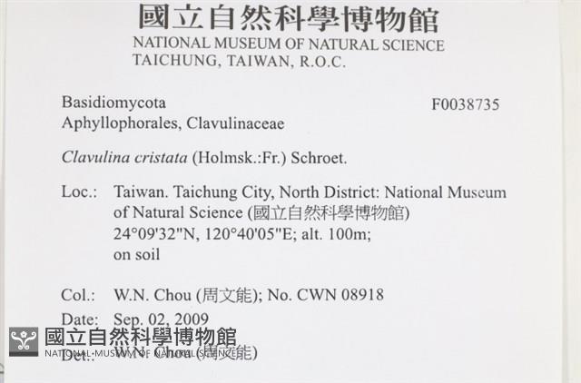 登錄號:F0038735藏品圖，第2張