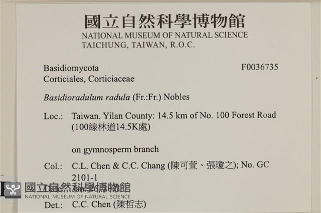 登錄號:F0036735藏品圖，第2張