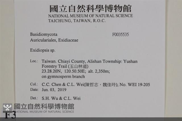登錄號:F0035535藏品圖，第2張
