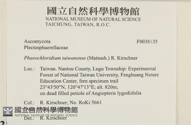 登錄號:F0038135藏品圖，第2張