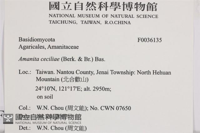 登錄號:F0036135藏品圖，第2張