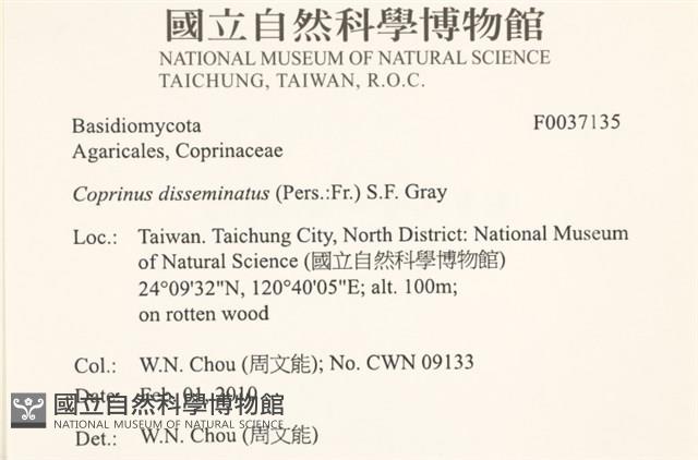 登錄號:F0037135藏品圖，第2張