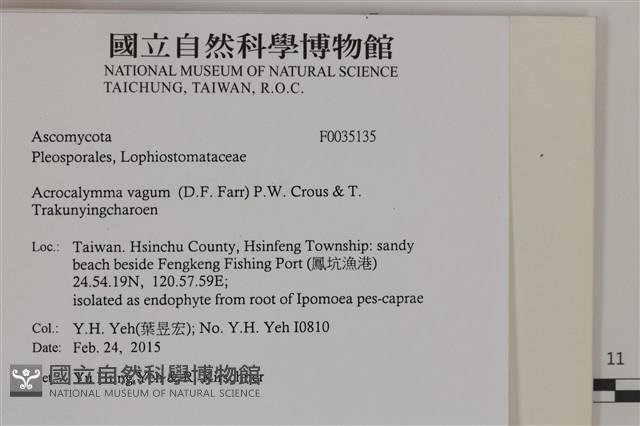 登錄號:F0035135藏品圖，第2張