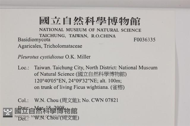登錄號:F0036335藏品圖，第2張