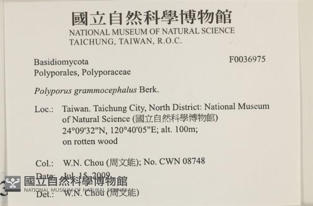 登錄號:F0036975藏品圖，第2張