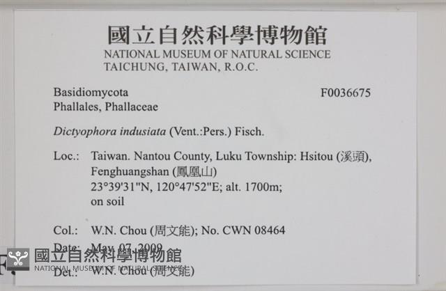 登錄號:F0036675藏品圖，第2張