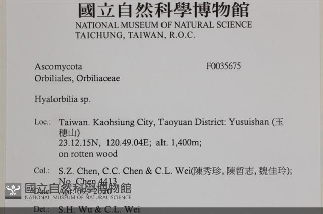 登錄號:F0035675藏品圖，第2張