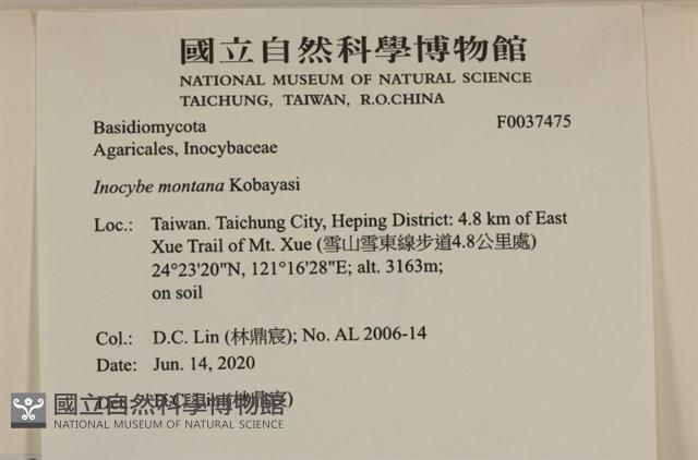 登錄號:F0037475藏品圖，第2張