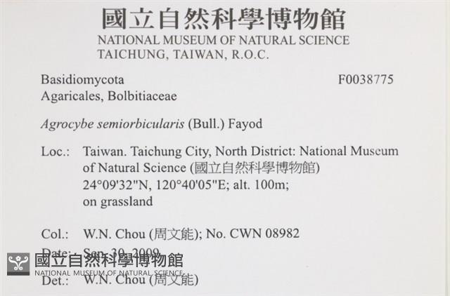 Accession Number:F0038775 Collection Image, Figure 2, Total 2 Figures