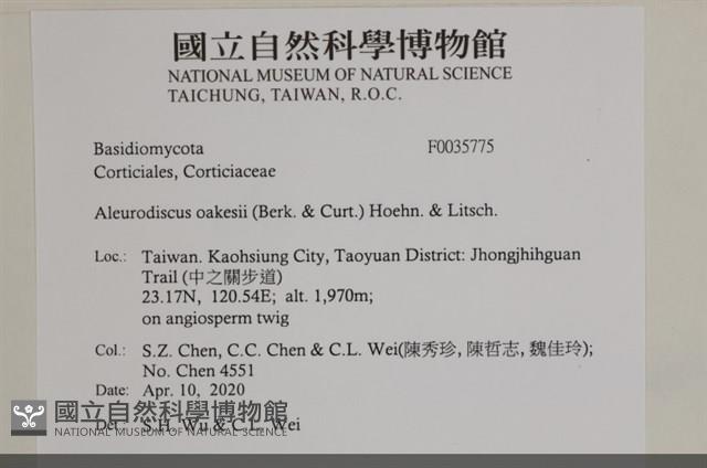 登錄號:F0035775藏品圖，第2張