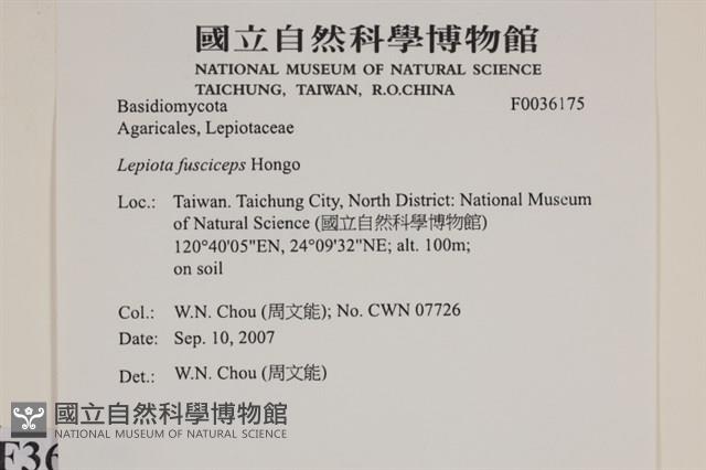 登錄號:F0036175藏品圖，第2張