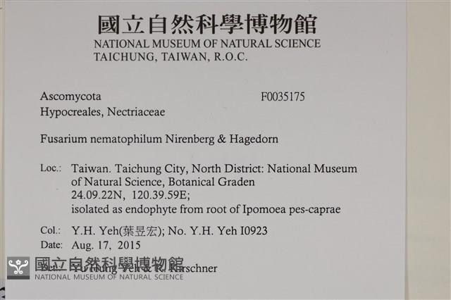 登錄號:F0035175藏品圖，第2張