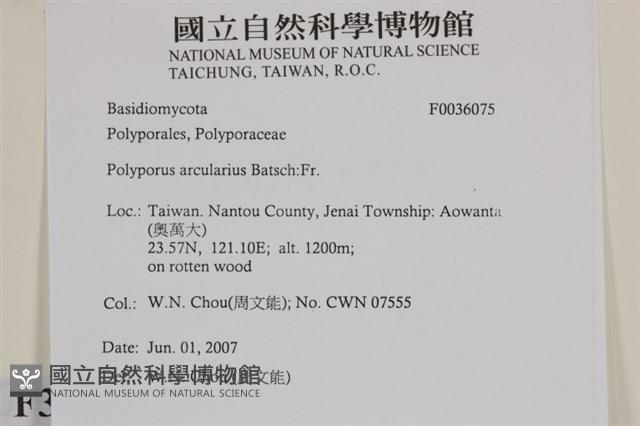 登錄號:F0036075藏品圖，第2張