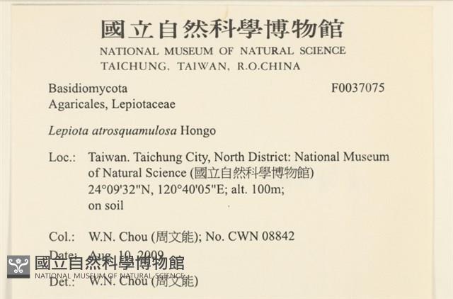 登錄號:F0037075藏品圖，第2張