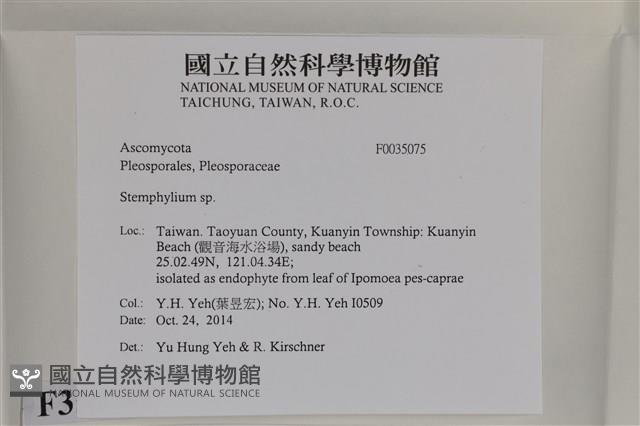 登錄號:F0035075藏品圖，第2張