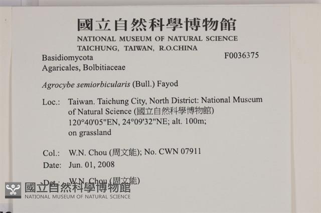 登錄號:F0036375藏品圖，第2張