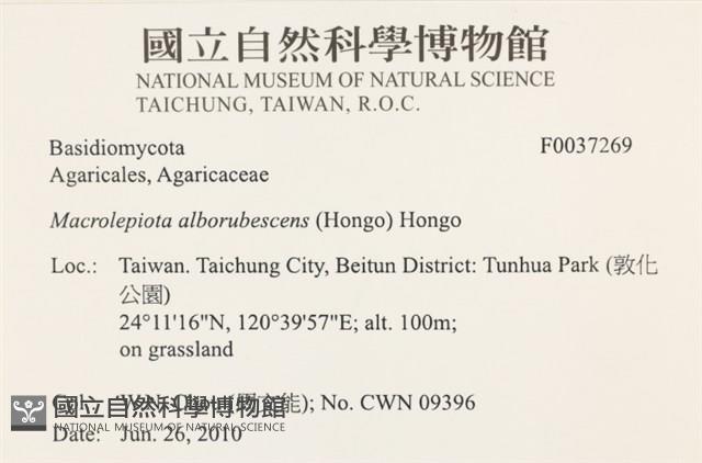 登錄號:F0037269藏品圖，第2張