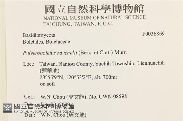登錄號:F0036869藏品圖，第2張
