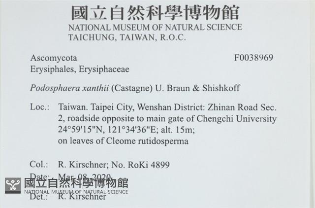 登錄號:F0038969藏品圖，第2張