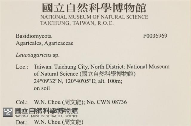 登錄號:F0036969藏品圖，第2張