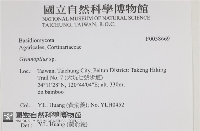 登錄號:F0038669藏品圖，第2張